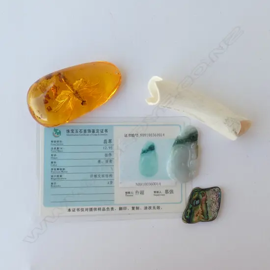 JADE? PENDANT, BONE, FAUX AMBER, PAUA PCE