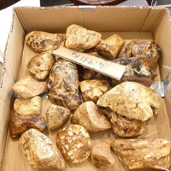 4.93kg COLLECTION OF KAURI GUM