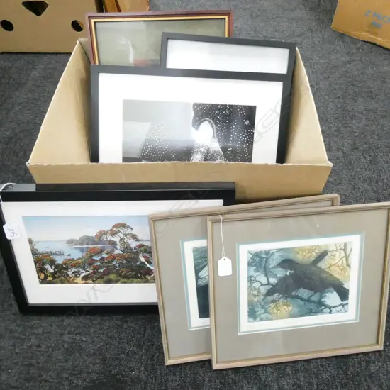 6 ARTWORKS; PUHUTAKAWA PRINT, 2 JOAN TAYLOR BIRD PRINTS, ETC