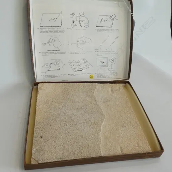 FISH FOSSIL IN STONE BOXED 'THE STONE FISH'