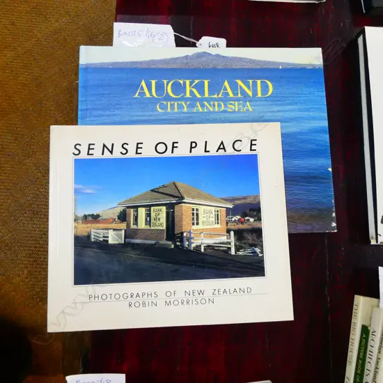 2 BOOKS ROBIN MORRISON AUCKLAND + SENSE OF PLACE 