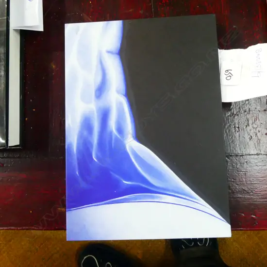 1VOL LIZ MAW MY BELOVED HACKNEYED