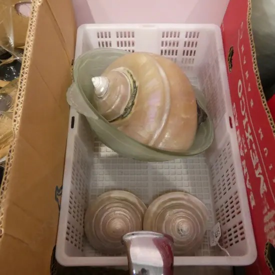 PRESSED GLASS BOWL + 3 SHELLS