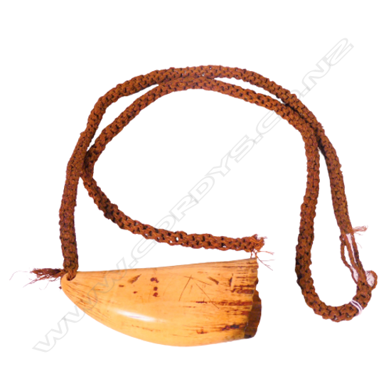 (26) A TABUA OR WHALE TOOTH DRILLED AND THREADED ONTO A PALM FIBRE CORD.A VERY IMPORTANT CULTURAL ITEM TO FIJI L. 150mm