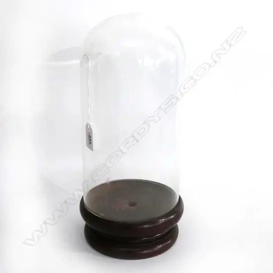 GLASS DOME w CIRCULAR WOOD BASE H.320mm