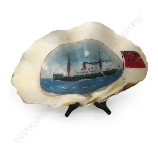 PAINTED CLAM SHELL DEPICTING THE USSCo, T.S.S. TALUNE. W.280mm...