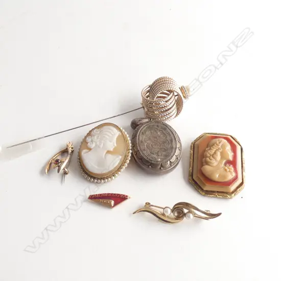 ASST. COSTUME JEWELLERY INCL. 9CT BROOCH AF, 2 CAMEOS ETC...