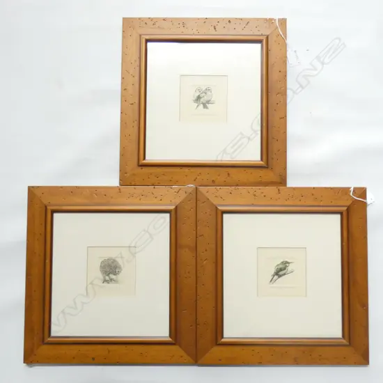 3 R. JACKSON SMALL FRAMED HAND COLOURED ENGRAVINGS OF NZ BIRDS - KIWI, BEE EATER, GOLDFINCH...