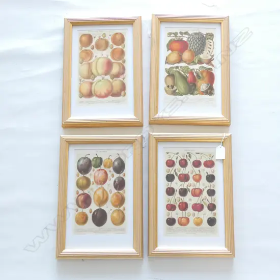 4 x GERMAN CHROMOLITHOGRAPHS OF FRUITS 1879. 220mm x 140mm 