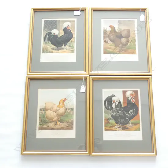 4X FRAMED ORIGINAL POULTRY PRINTS TAKEN FROM CASSELLS ILLUSTRATED POULTRY BOOK, FIRST PUBLISHED 1880...