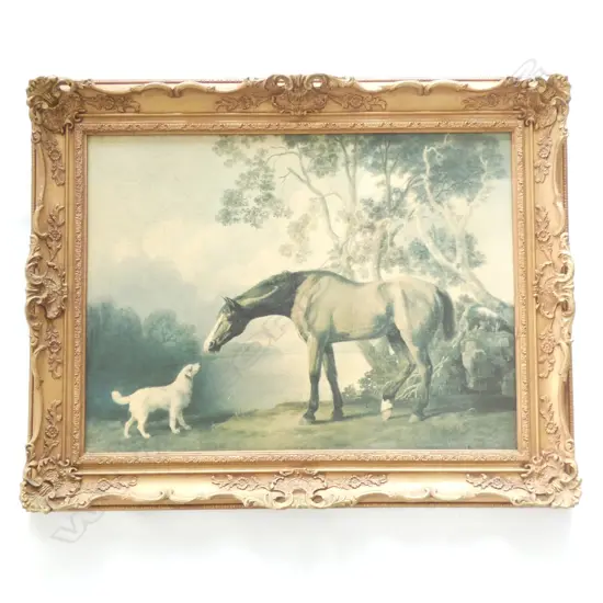 18thC STYLE HORSE PRINT w. ORNATE GOLD PAINTED FRAME 440x590mm