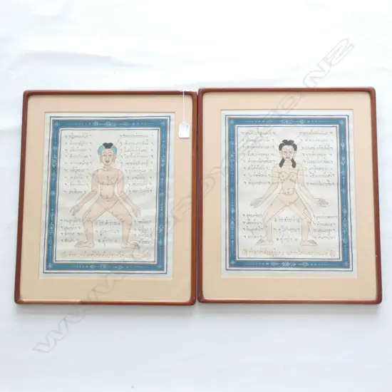 PR H/COLOURED TIBETAN MEDICAL CHAKRA CHARTS - MALE & FEMALE