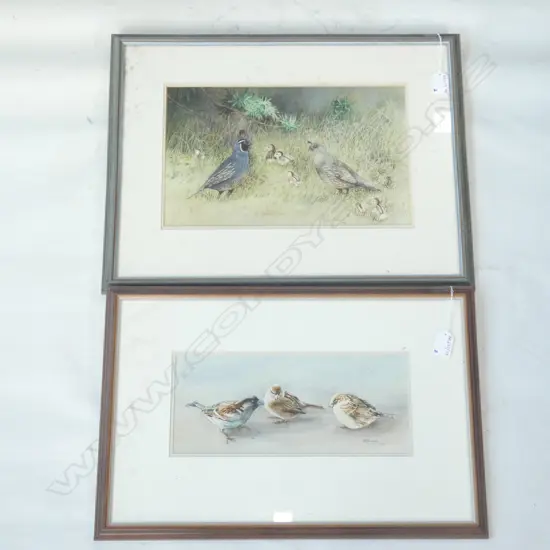 2 GOWER BIRD W/C ARTWORKS; 3 SPARROWS GOWER & QUAIL FAMILY 215x345mm 
