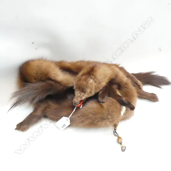 FOX FUR STOLE WITH HEAD  