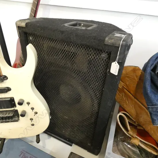 ASHTON MB-12 STAGE SPEAKER H 570 MM