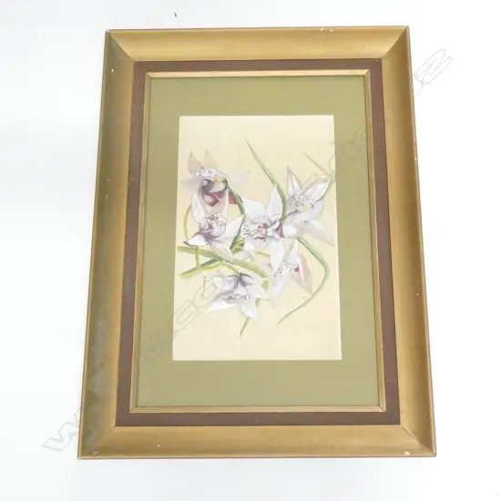 B. HANSEN WHITE IRISES W/C '79 275x440mm