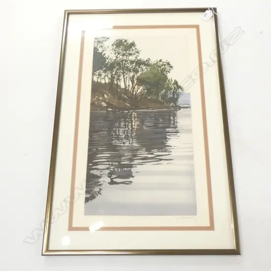 ROGER HEBBELINK 'DIERIERS RAYONS' BELGIUM LTD ED ETCHING 575 X 345MM