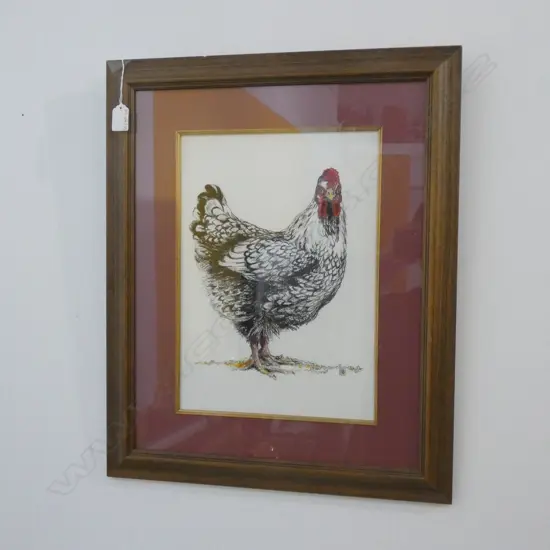 BERNADETTE TOYE 'SILVERLACED WYANDOTTE' WORK ON PAPER 370x260mm