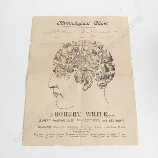 PHRENOLOGICAL CHART READING - DATED 1897 