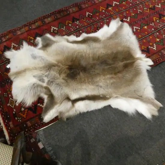 REINDEER HIDE RUG L.1200mm
