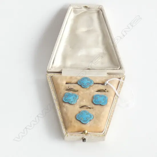 1920's 'HARD ENAMEL' CASED BUTTON & PIN SET