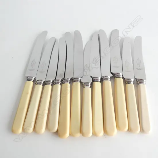 12 'BONE' HANDLED KNIVES
