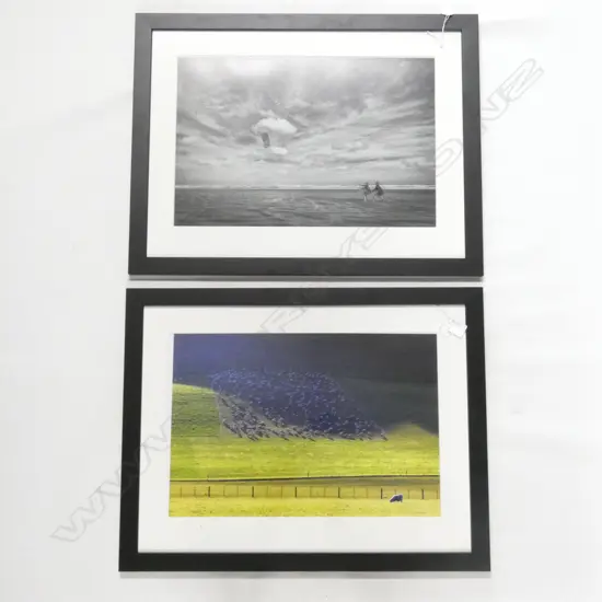 2  PHOTOS. SHEEP & KITE FLYING