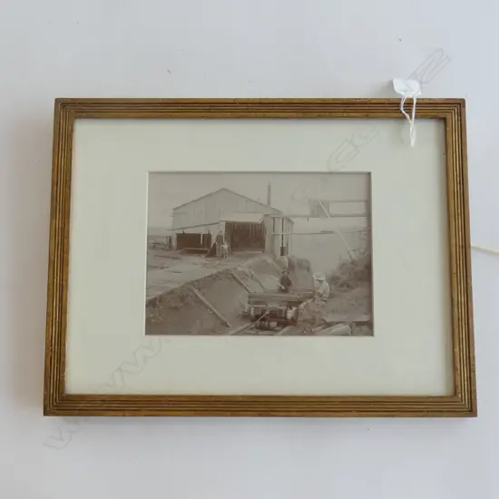 VICTORIAN PHOTO OF KAURI TROLLY NEAR DARGAVILLE