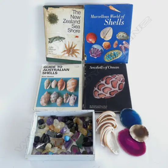 TRAY ASST. POLISHED STONES & QUARTZ + 4 BOOKS ON SHELLS 
