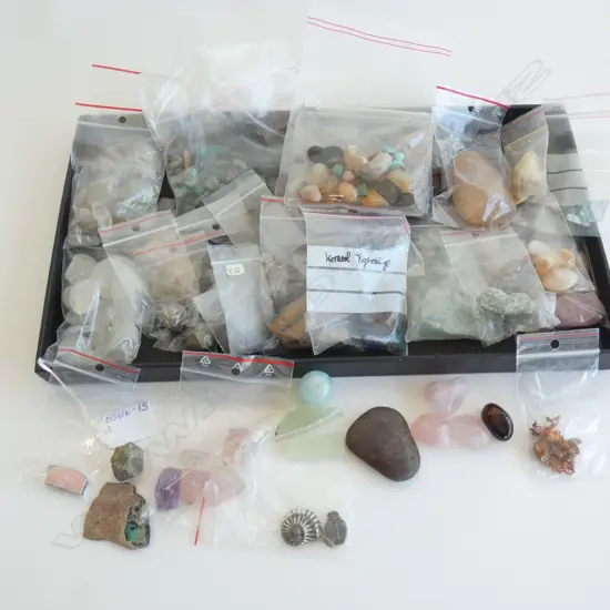 COLLECTORS TRAY GEMSTONES / ROCKS & MINERALS 