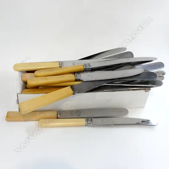 24 IVORINE HANDLED KNIVES
