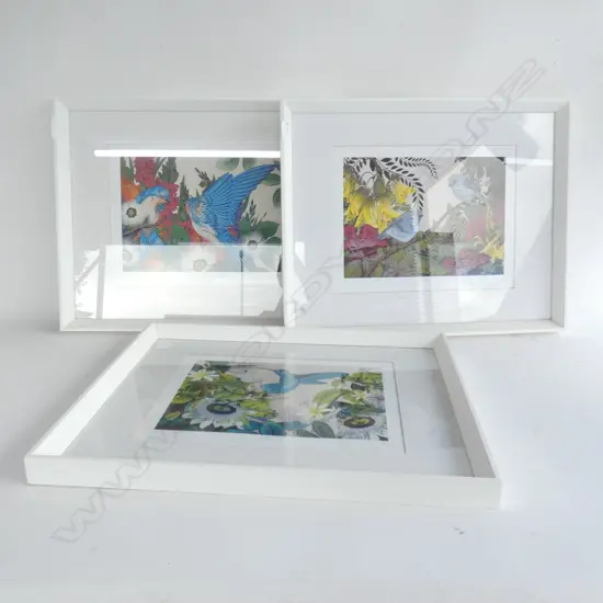 FLOX 3 CONTEMPORARY BIRD PRINTS ED. OF 500 220x310mm