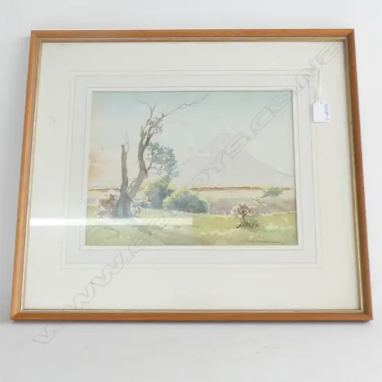 HILDA WISEMAN W/C MT TARANAKI 235 X 305mm