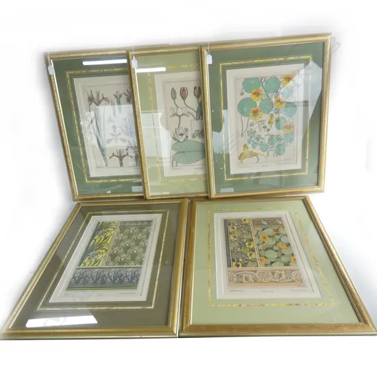 5 FRENCH FLORAL LITHOGRAPHS 405x280mm