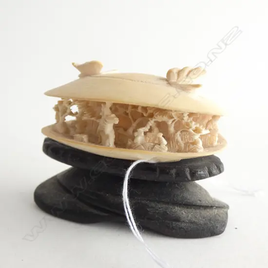 OLD CARVED IVORY DREAM SHELL ON STAND. W.55mm