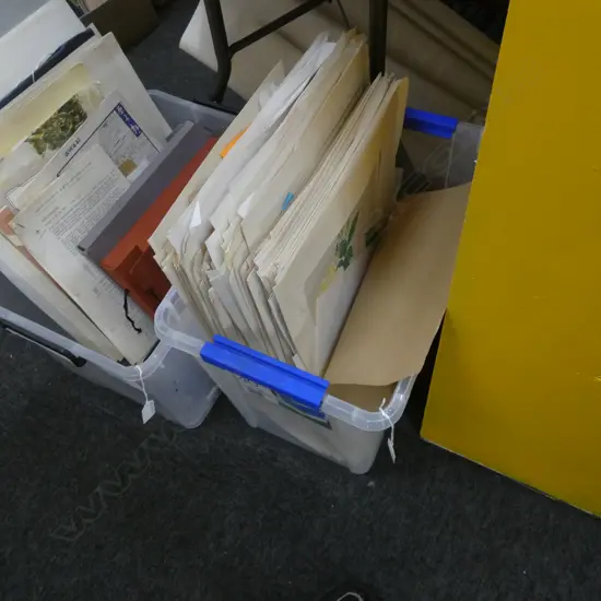 BOX ASST. JAPANESE WOOD BLOCK FLORAL PRINTS