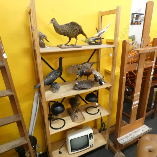 LUNDIA SHELVING UNIT H 2100 X 930 MM