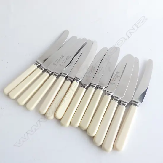 14 PALE IVORINE HANDLED KNIVES L.210mm
