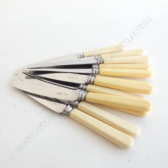 SET OF 12 LARGE IVORINE HANDLED KNIVES L.235mm