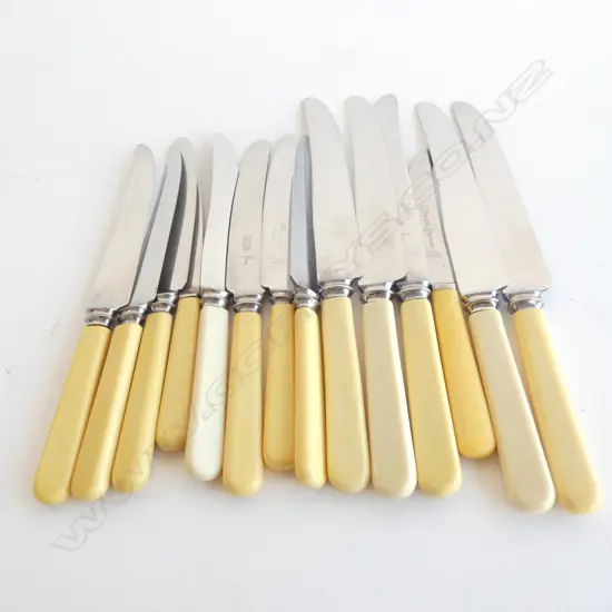 14 ASST. IVORINE HANDLED KNIVES 