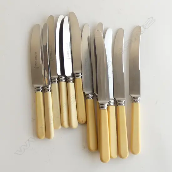 12 IVORINE HANDLED KNIVES L.240mm