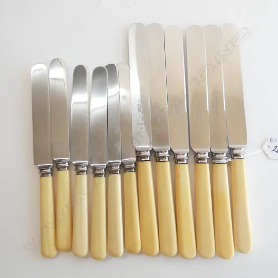 12 IVORINE HANDLED KNIVES; 6 205mm, 6 255mm