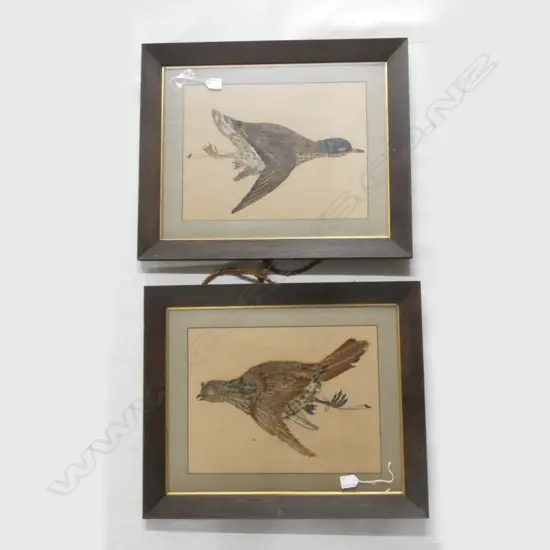 PR EARLY 20thC GAME BIRD FEATHER PICTURES OAK FRAMES 585x485mm overall