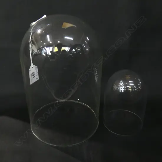 TWO GLASS DOMES;  115 X 75MM & 210 X 130MM