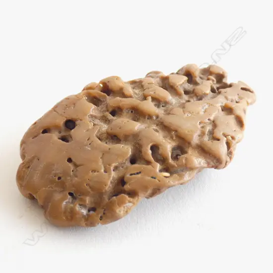 PC SEDIMENTARY ROCK WITH SM WORM LIKE HOLES 