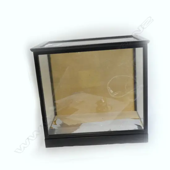 ORIENTAL GLASS DISPLAY CASE EBONISED FRAME...
