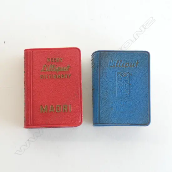 2 LILLIPUT MAORI BOOKS; DICTIONARY & PLACE NAMES H.50mm