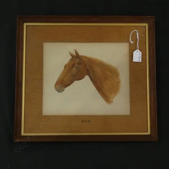 1907 WATERCOLOUR HORSES HEAD 'BOB' by M.N. FRAMED & GLAZED 360 X 400MM