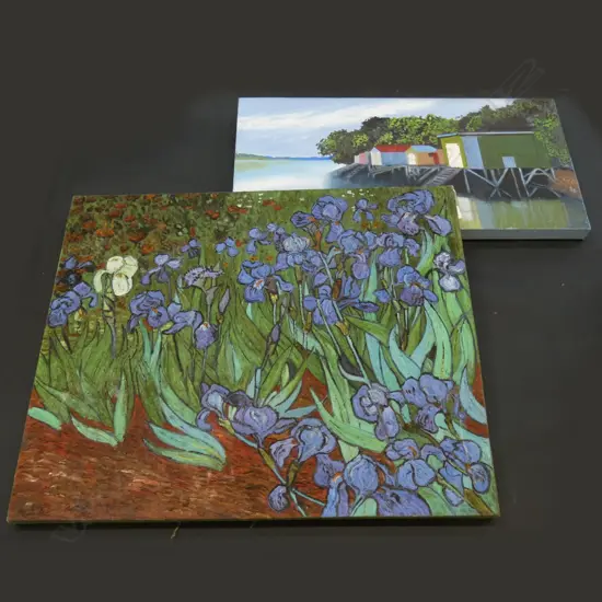 2 OIL ON CANVAS PAINTINGS; LILIES & BOAT HOUSES (SIGNED) LARGEST 650 X 800MM