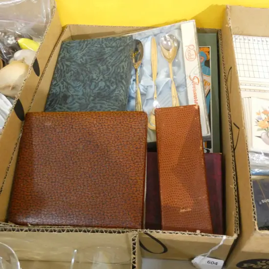 BOX ASST CUTLERY INCL BOXED SETS & LOOSE CELLULOID HANDLE KNIVES & FORKS ETC